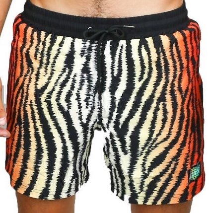 COOL CATS & KITTENS 5" Men's Shorts